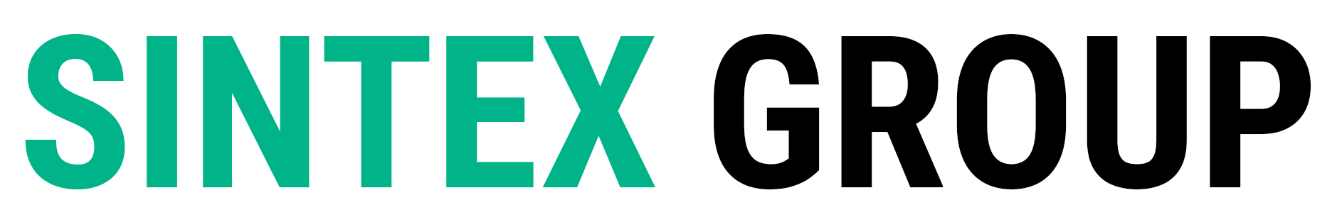 Sintex Group